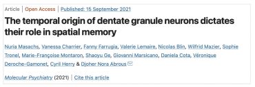 Abrous's team in Molecular Psychiatry - The temporal origin of dentate granule neurons dictates their role in spatial memory
