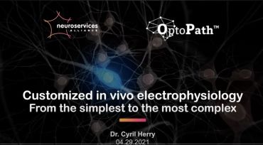 Customized in vivo electrophysiology: from the simplest to the most complex